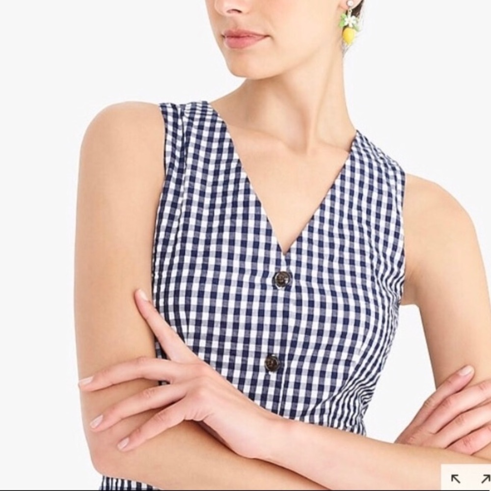 Jcrew Factory Navy Gingham Dress